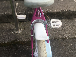 Laste abirattadega jalgratas “Dino Bikes” 14’’ (10 foto / 10)
