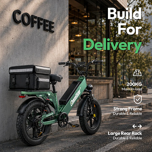 UUS ELEKTRIRATAS CHAMRIDER D55 — 55Ah, KUNI 240 KM (9 foto / 10)