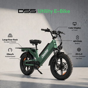 UUS ELEKTRIRATAS CHAMRIDER D55 — 55Ah, KUNI 240 KM (10 foto / 10)
