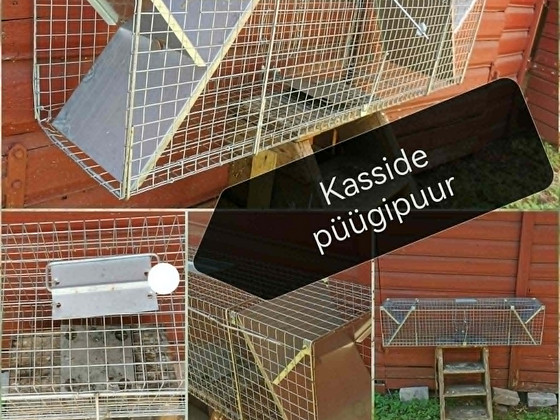Ловушка для кошки