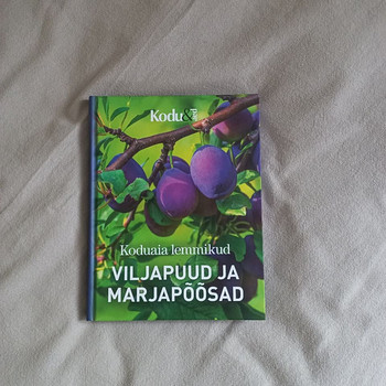 Плодовые деревья и ягодные кустарники. Любимцы домашнего сада