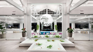 TROPICAL PARK APARTAMENDID (10 фото из 10)