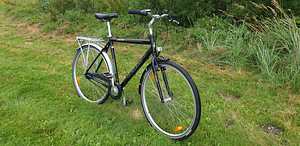 SOOME HOOLDATUD JALGRATAS "INSERA EVOLUTION" (2 foto / 3)