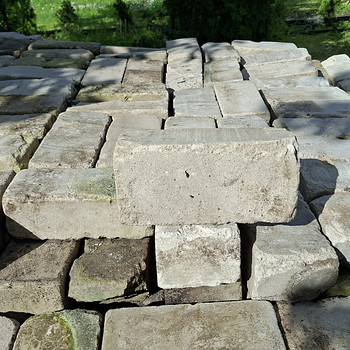 Tellis