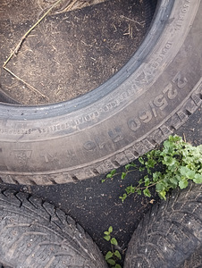 225/60r16 talvekad (4 foto / 5)