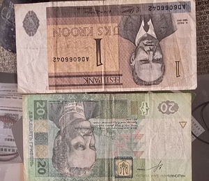 Купюры Raha (1 фото из 7)