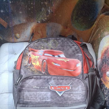 2 koolikottid autodega