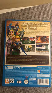 Hyrule Warriors — mäng Nintendo Wii U-le (2 foto / 5)