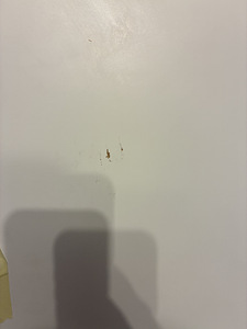 Кровать malm ikea (3 фото из 3)