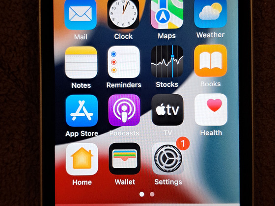Apple iPhone SE (1-го поколения)