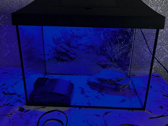 Aquael akvaarium 30 l