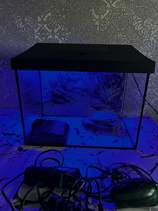 Aquael akvaarium 30 l (1 foto / 4)