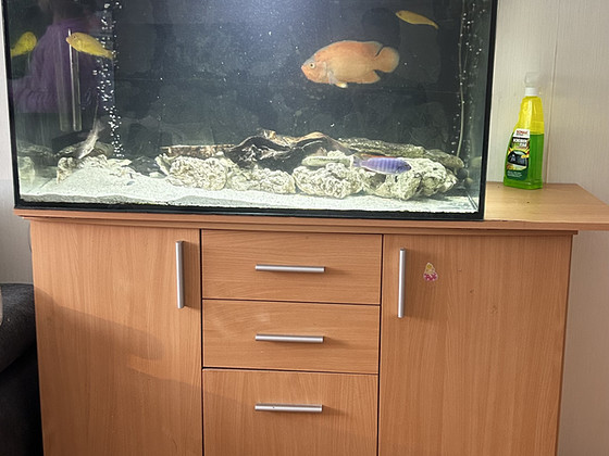 250 l akvaarium koos aluse, tehnika ja kaladega