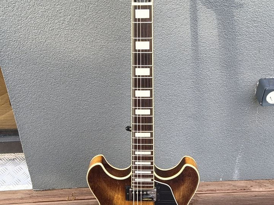 Ibanez AS73 elektrikitarr koos kohvriga