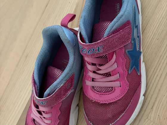 Geox 34