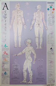 Nõelravi plakat 58,5x89 cm (1 foto / 2)