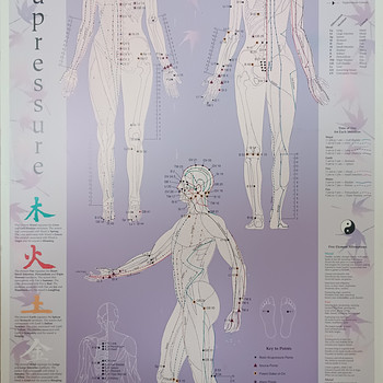 Nõelravi plakat 58,5x89 cm