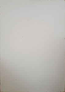 Nõelravi plakat 58,5x89 cm (2 foto / 2)