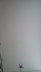 Uus nädalaplaneerija (4 foto / 5)