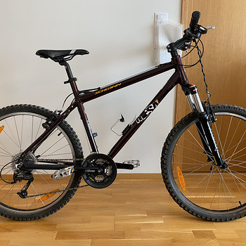 Mägijalgratas Schwinn Mesa GS 26" + tarvikud