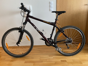 Mägijalgratas Schwinn Mesa GS 26" + tarvikud (2 foto / 4)