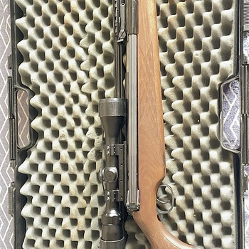 DIANA MOD.52 + BUSHNELL 3 -9X40