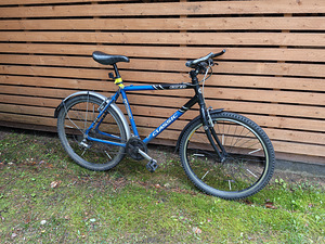 Jalgratas Classic 26 tolli (2 foto / 3)
