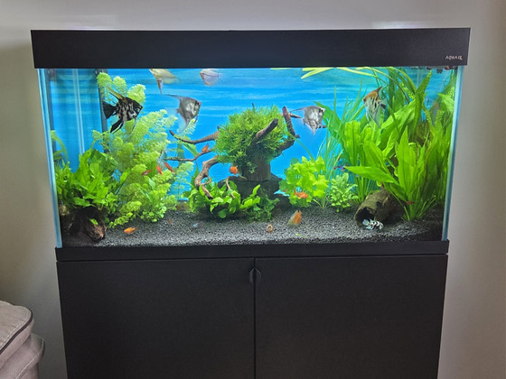 Aquael OPTI SET 200l akvaarium kapiga ja välisfiltriga