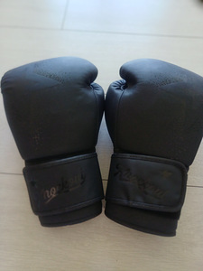 Poksikindad/MMA-kindad (1 foto / 6)