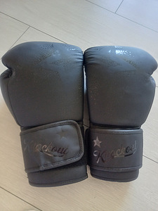 Poksikindad/MMA-kindad (5 foto / 6)