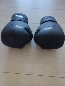 Poksikindad/MMA-kindad (4 foto / 6)