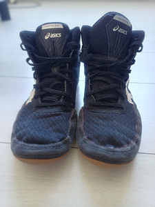 Jalatsid MMA/poksi jaoks (6 foto / 8)