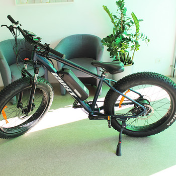 Elektrikergust E-Evoque 26, 500W, 48V