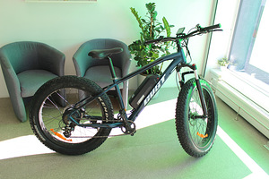 Elektrijalgrat Gust E-Evoque 26 500W 48V 13Ah (2 foto / 3)