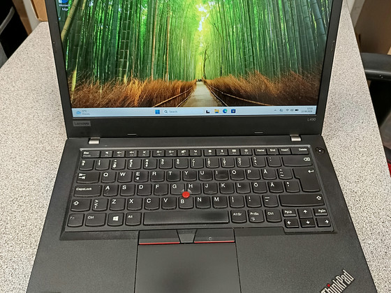 Lenovo ThinkPad L490