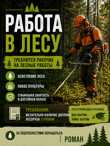 Работа в лесу (1 фото из 1)