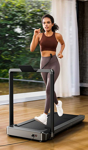 Беговая дорожка Kingsmith WalkingPad X23 Treadmill TRX23F (1 фото из 3)