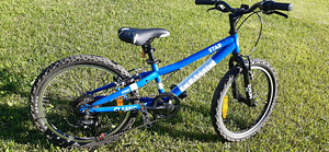 Classic Star 20 (1 фото из 1)