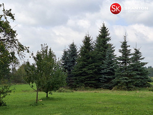 Kena Saaremaa talu! Randa ja paadisadamasse 6 km (27 foto / 44)