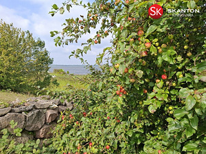 Kena Saaremaa talu! Randa ja paadisadamasse 6 km (42 foto / 44)