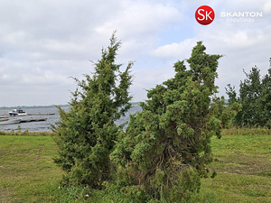 Kena Saaremaa talu! Randa ja paadisadamasse 6 km (44 foto / 44)