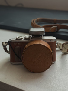 Olympus PEN E-PL8 (2 фото из 3)