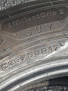 Goodyear Efficientgrip 2 (4 фото из 4)