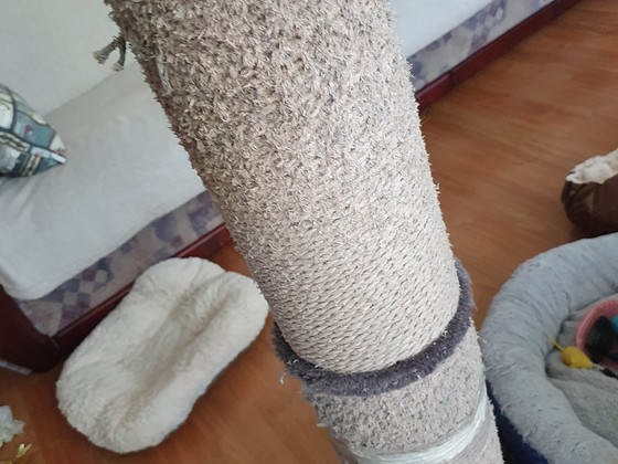 Kõrge kraapimispuu kassile