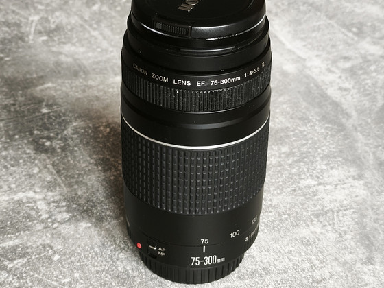 Canon EF 75-300 mm 1:4-5,6
