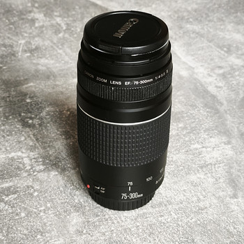 Canon EF 75-300 mm 1:4-5,6
