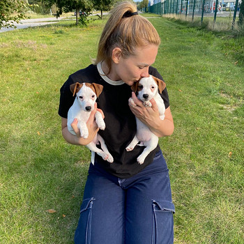 Jack Russelli terjer