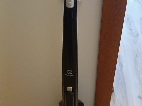 Juhtmevaba tolmuimeja electrolux