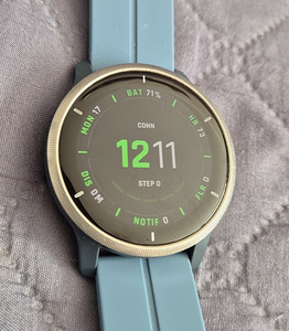 Garmin Venu 2 (45mm) Silver / Granite Blue (1 foto / 10)