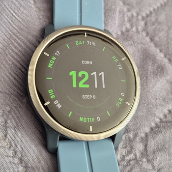 Garmin Venu 2 (45mm) Silver / Granite Blue